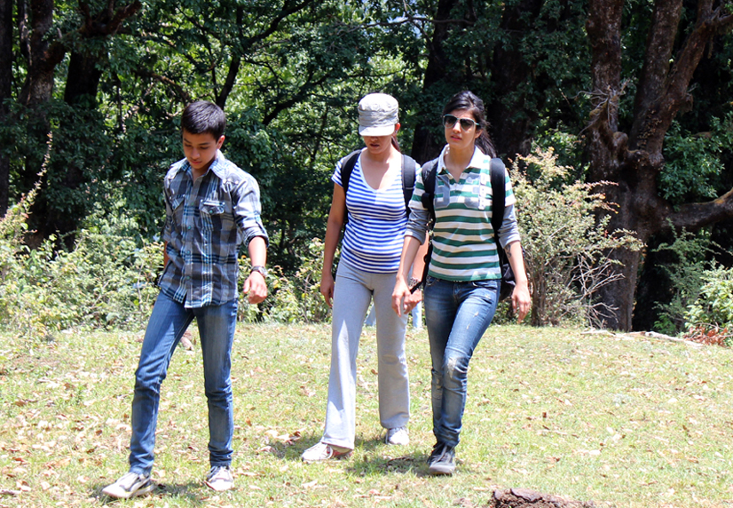 Guided Treks